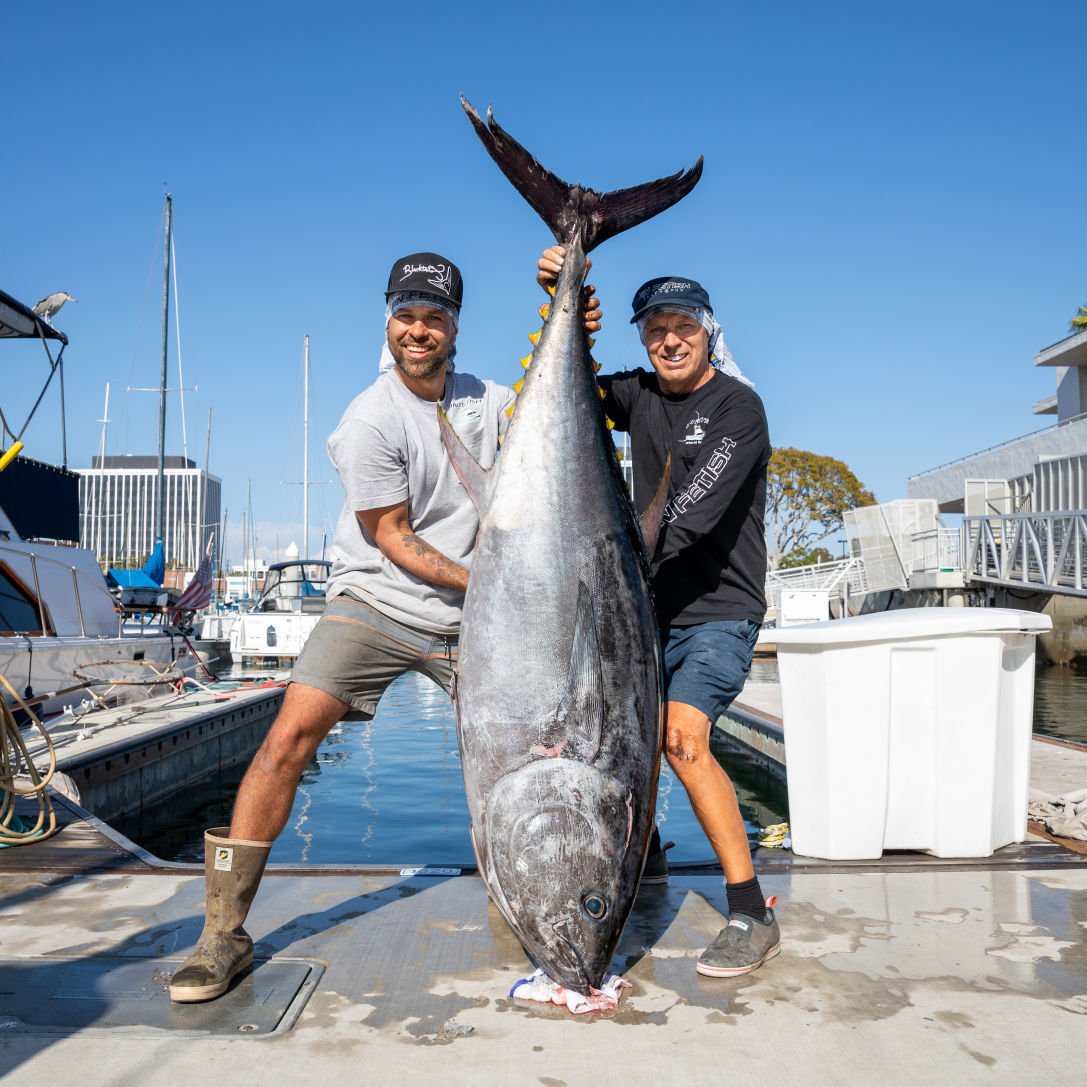 Fin Fetish BFT 9 10 21-3